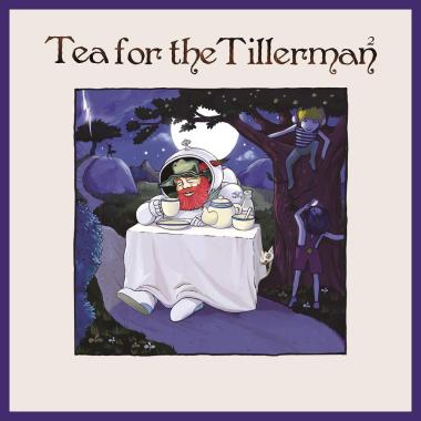 Yusuf Cat Stevens -  Tea For The Tillerman 2